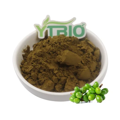 Suplementos nutricionales Polvo de extracto de grano de café verde