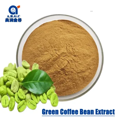 Polvo de extracto de grano de café verde de alta calidad de venta caliente
