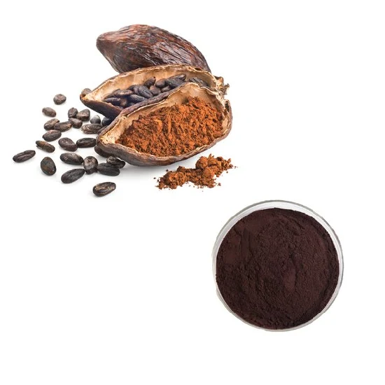 Polvo de extracto de semilla de cacao de la mejor calidad utilizado en la producción de pasteles, helados, galletas, chocolate y cacao