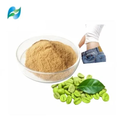 Polvo verde natural del extracto del grano de café del ácido clorogénico de la pérdida de peso que adelgaza el 50%